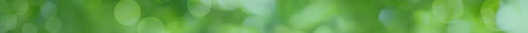 About 99 Developers real estate team and company vision banner
